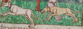 Mittelalterliche Hetzhunde