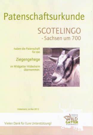 Patenschaftsurkunde über das Ziegengehege