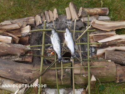 Fische auf dem Grill